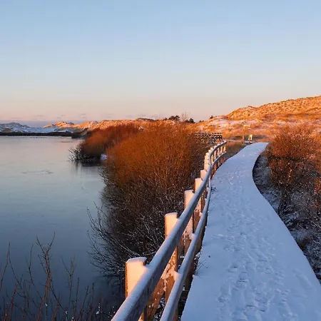 Reetdachhaus Isemann Nebel