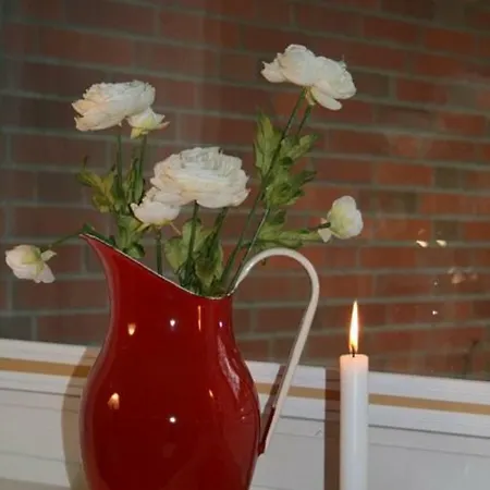 Holiday home Reetdachhaus Isemann Nebel