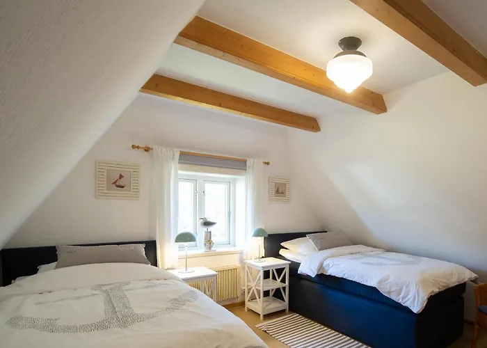 Reetdachhaus Isemann Nebel