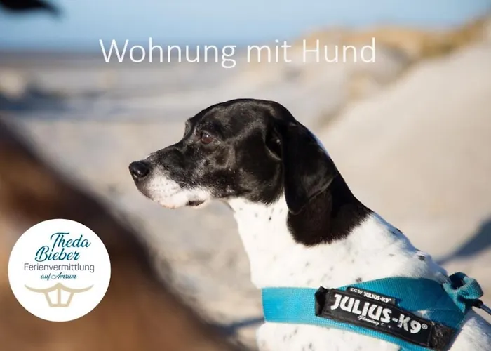 Reetdachhaus Isemann * Nebel