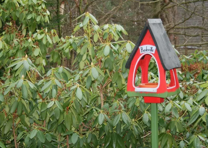 Reetdachhaus Isemann *