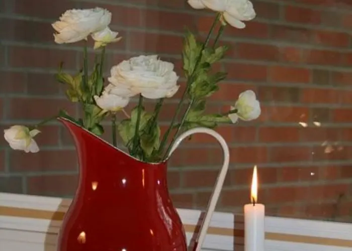 Vakantiehuis Reetdachhaus Isemann Nebel